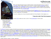 Tablet Screenshot of czyborra.com